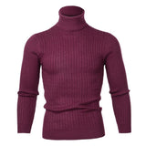 High Quality Warm Turtleneck Sweater Men Fashion Solid Knitted Mens Sweaters Casual Slim Pullover Male Double Collar Tops