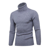 High Quality Warm Turtleneck Sweater Men Fashion Solid Knitted Mens Sweaters Casual Slim Pullover Male Double Collar Tops