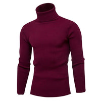 High Quality Warm Turtleneck Sweater Men Fashion Solid Knitted Mens Sweaters Casual Slim Pullover Male Double Collar Tops